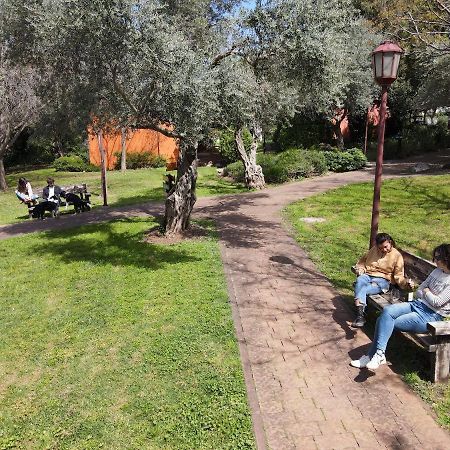 Parod Country Lodge Εξωτερικό φωτογραφία