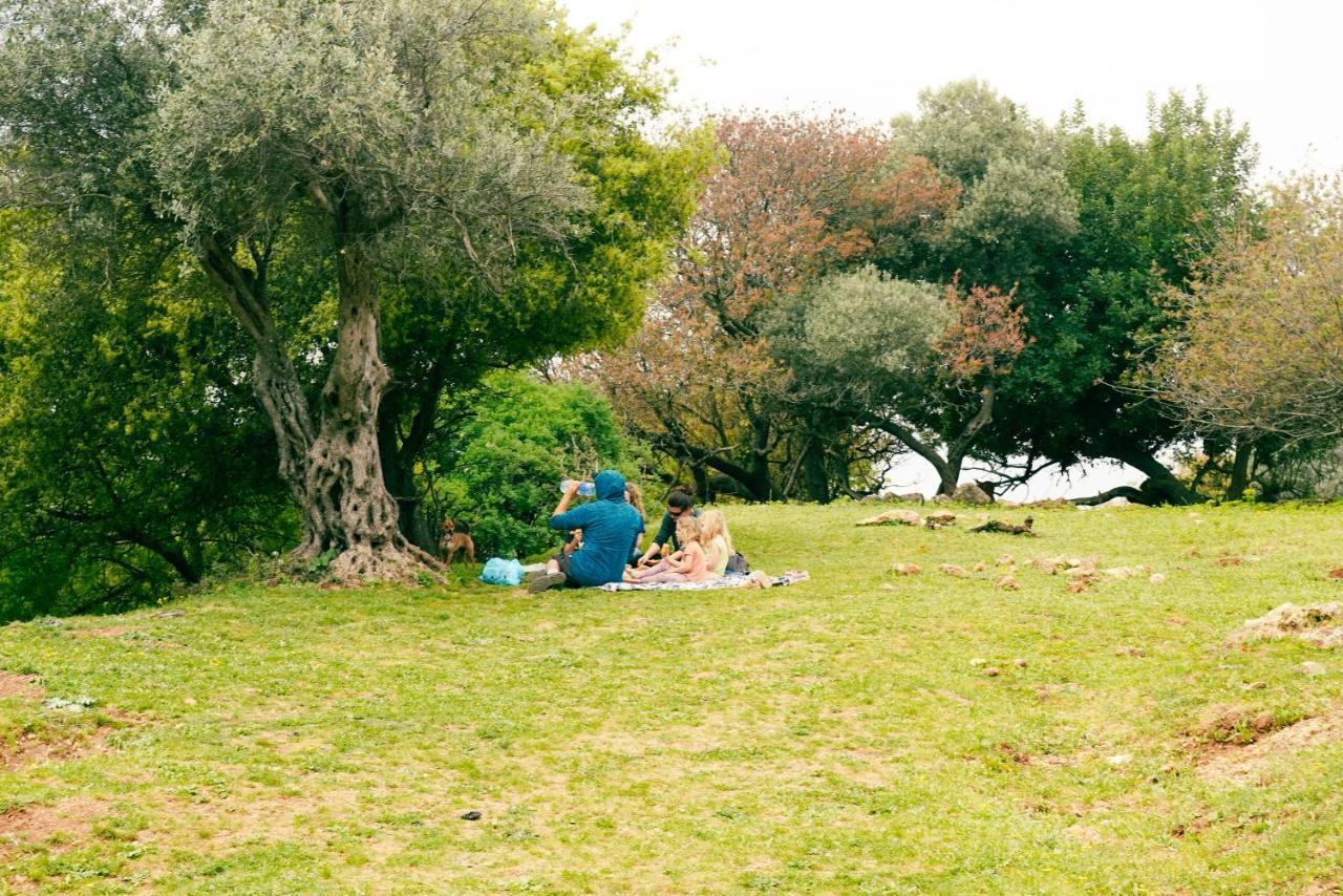Parod Country Lodge Εξωτερικό φωτογραφία