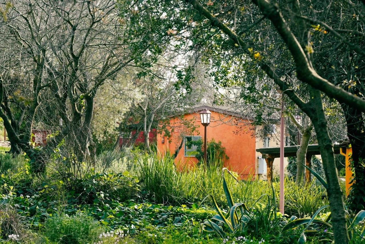 Parod Country Lodge Εξωτερικό φωτογραφία