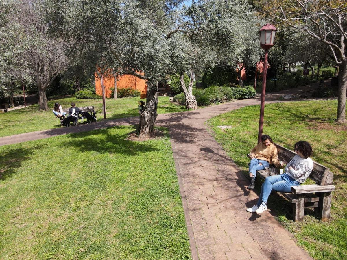 Parod Country Lodge Εξωτερικό φωτογραφία